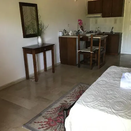Theodoros Studio *